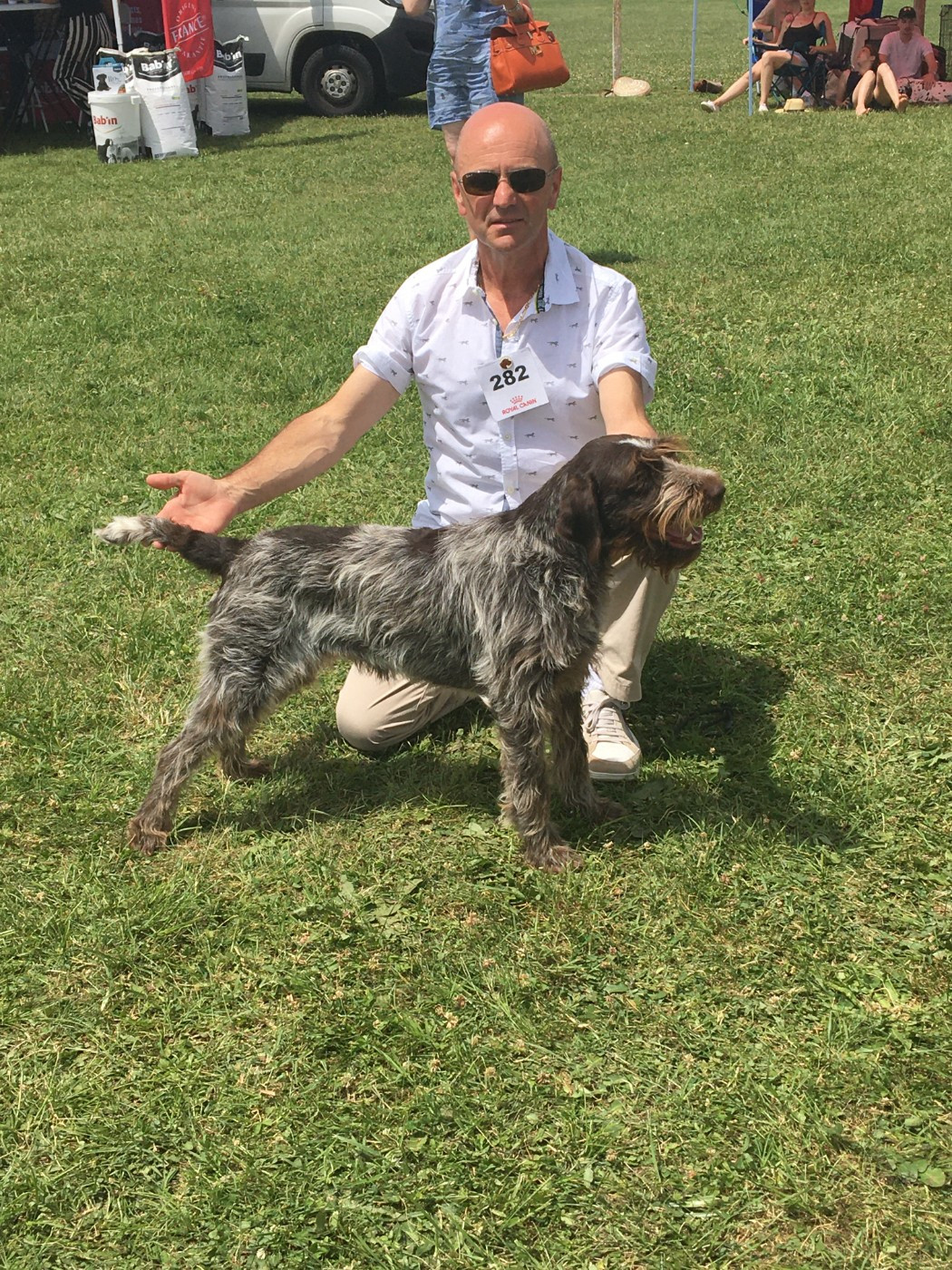 Prévision d'une portée de Roxy au printemps 2026